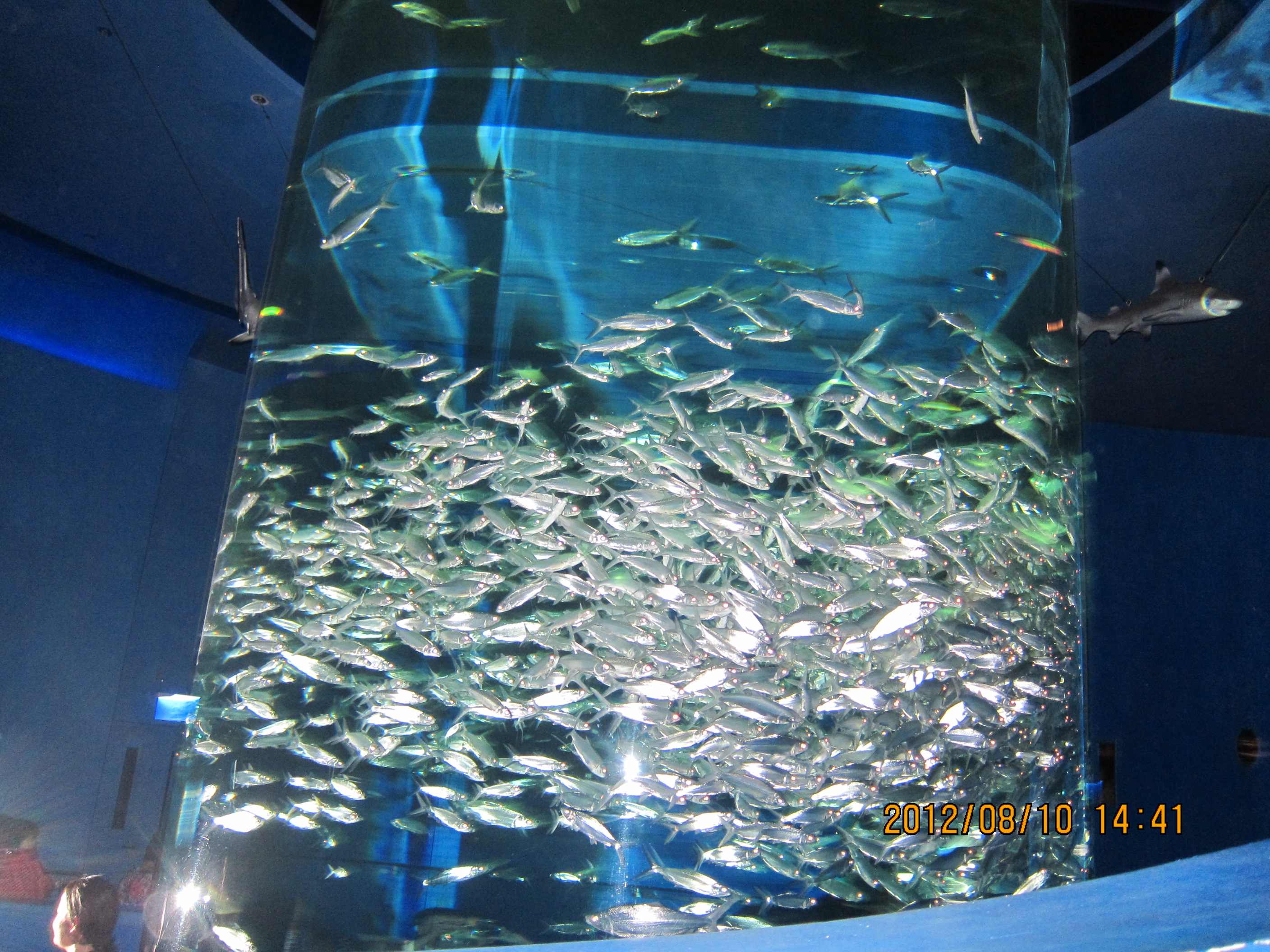 8月8日-13日<em>姐妹</em>3人穷游<em>香港</em> - <em>香港</em> - 十六番