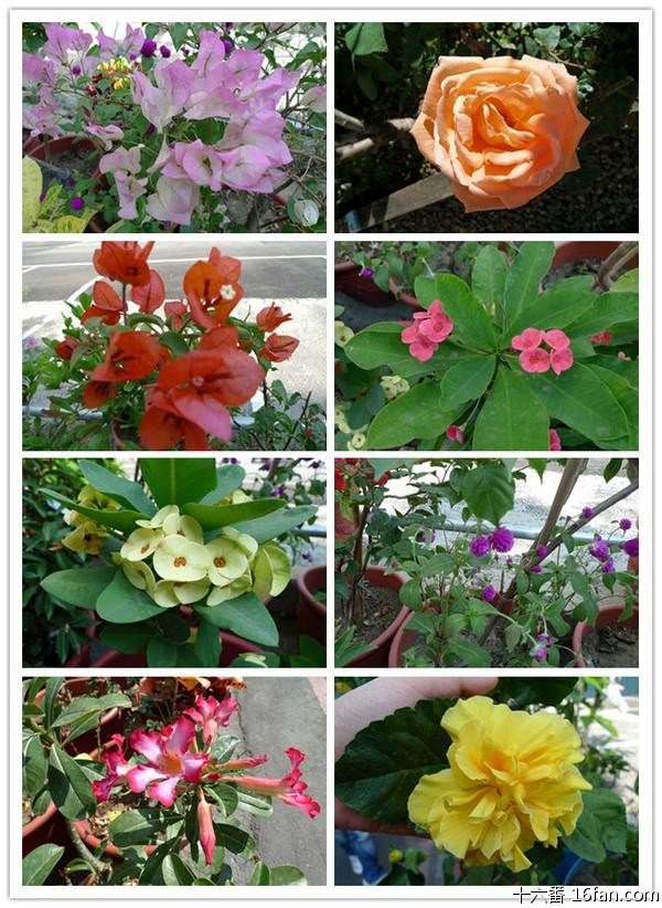 10月14-27日<em>台湾自由行</em>美食<em>照片</em>扑出来,JAY迷