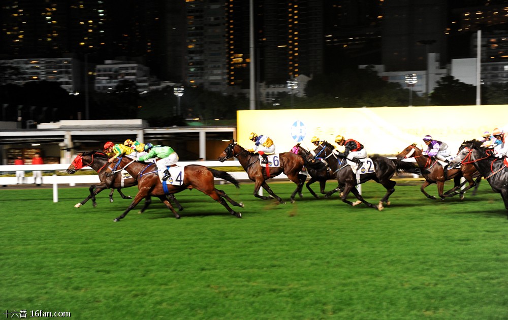 11月21日,夜。跑马地看赛马,两小时感受香港赛