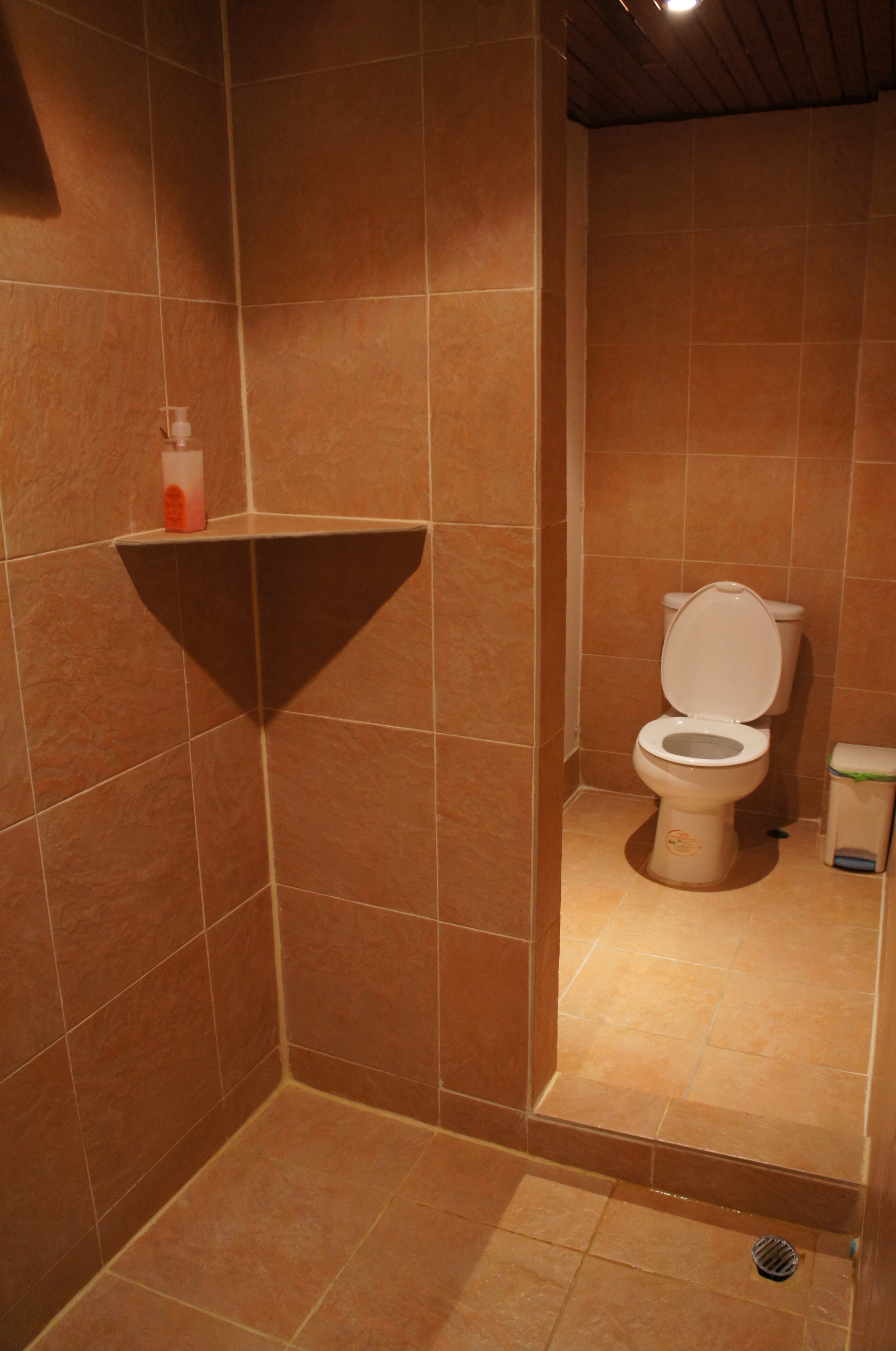 .18-21纯曼谷~人妖秀 周末市场 马<em>杀鸡~照片</em>告