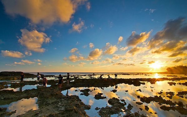 2014  台湾旅游攻略/台湾旅游景点（签证，交通，景点，美食，购物，民俗节庆）