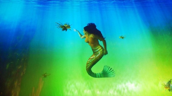 澳门新濠天地 2014(简介+酒店+交通+景点设施