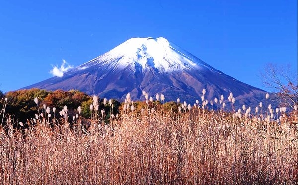 日本签证办理流程(超简单)，如何办理日本旅游签证