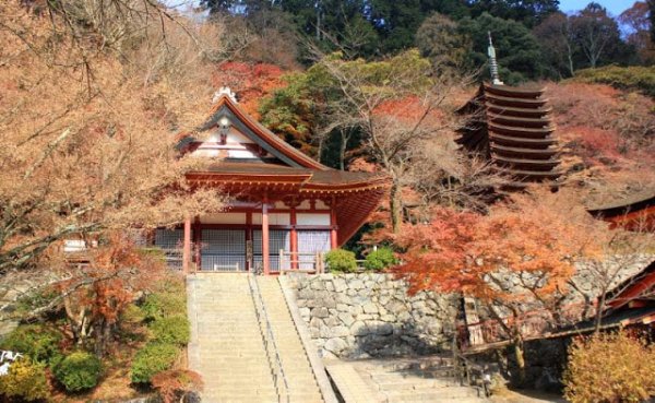 日本好玩的旅游景点_西安到日本东京奈良旅游