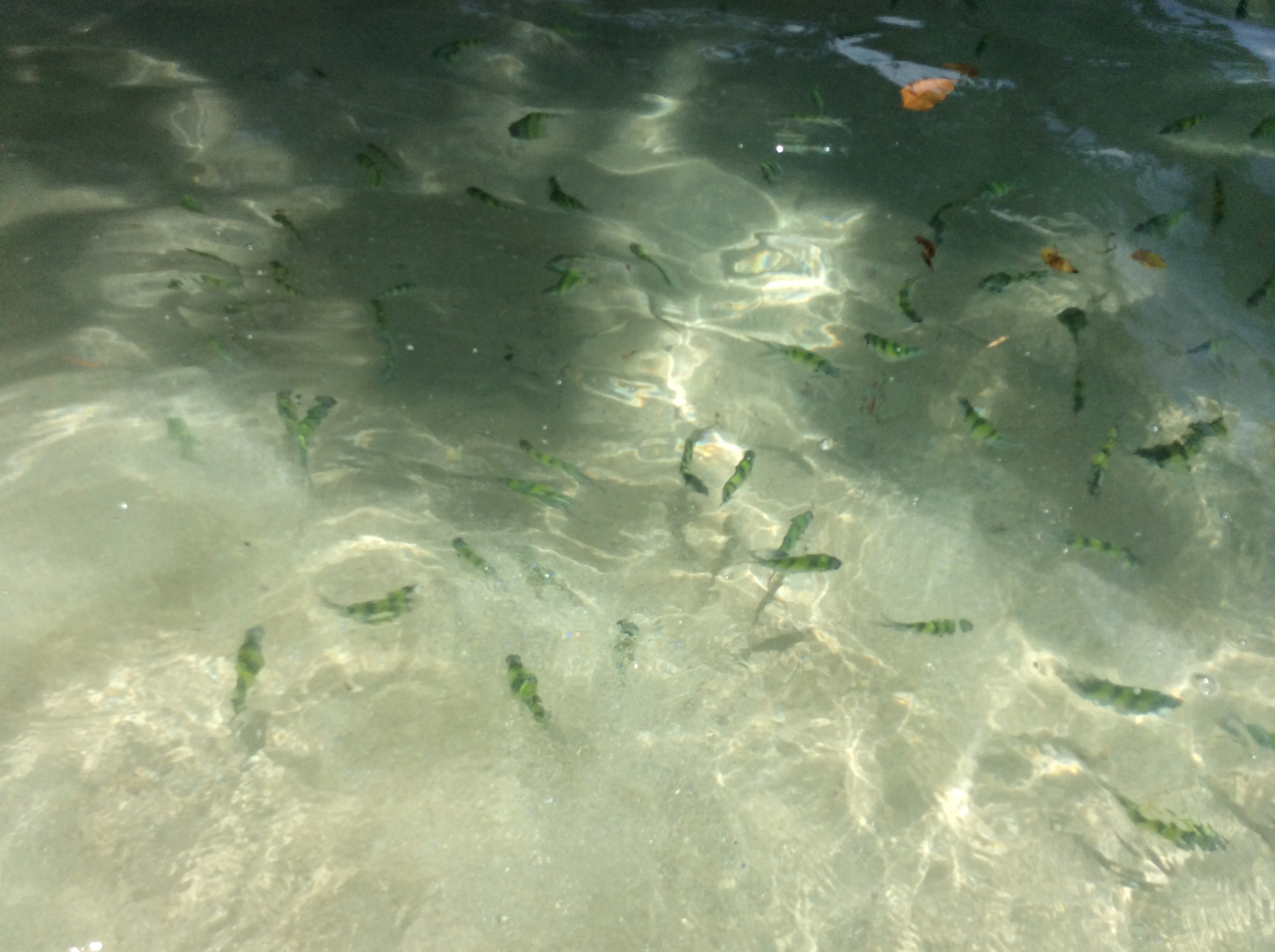 泰国甲米府曼谷,图片详解吉隆坡KLIA2转机,甲