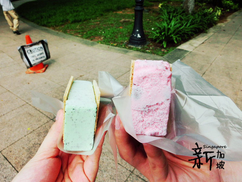 <em>兄妹</em>8天7晚<em>爆走</em>新加坡、吉隆坡 - 新加坡 - 十六