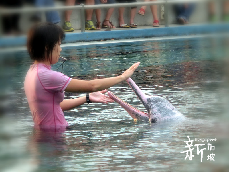 <em>兄妹</em>8天7晚<em>爆走</em>新加坡、吉隆坡 - 新加坡 - 十六