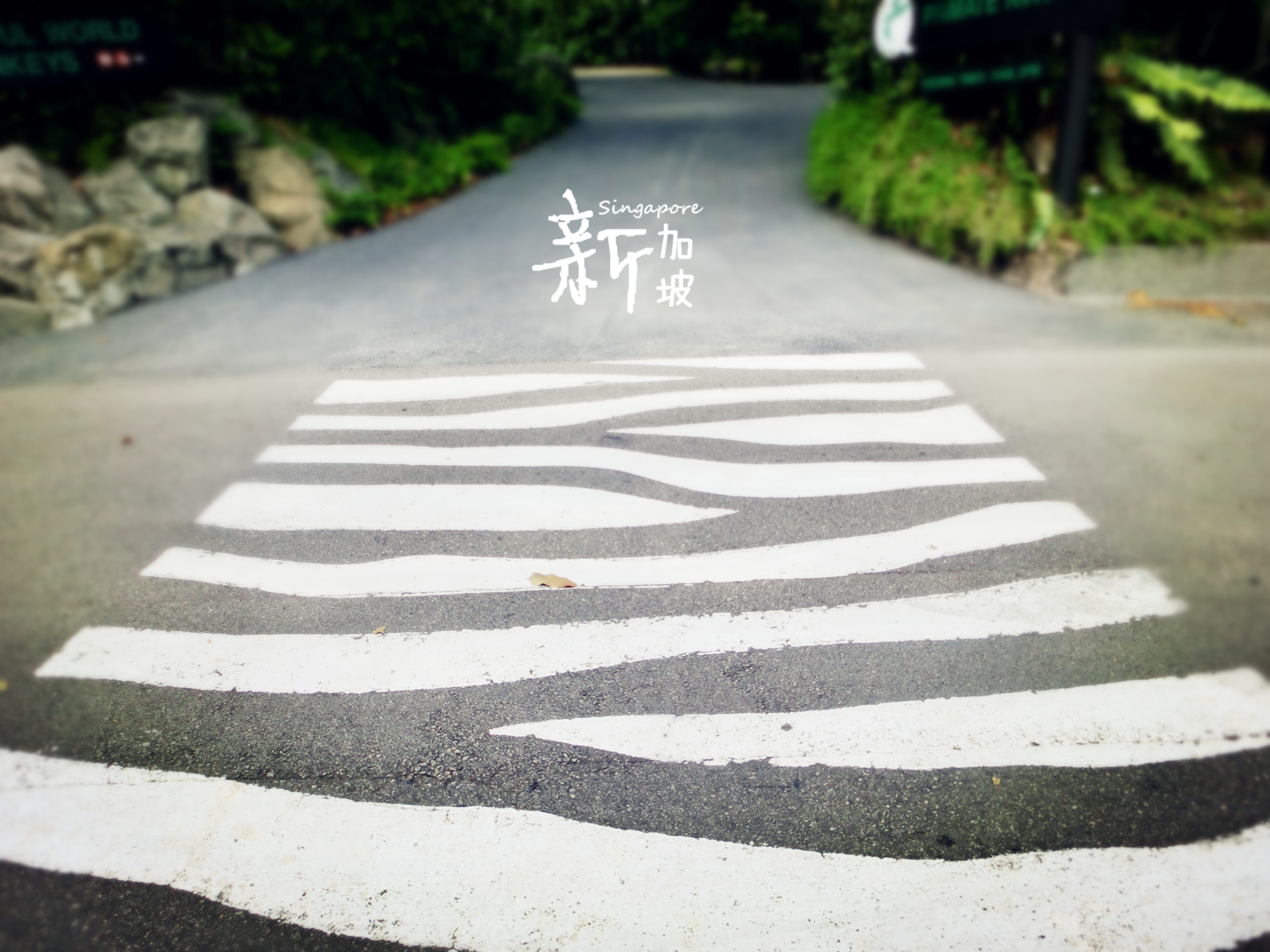 <em>兄妹</em>8天7晚<em>爆走</em>新加坡、吉隆坡 - 新加坡 - 十六