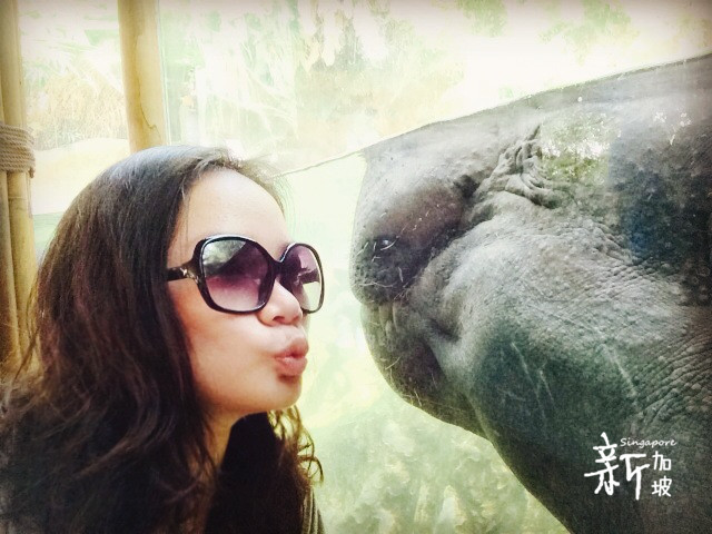 <em>兄妹</em>8天7晚<em>爆走</em>新加坡、吉隆坡 - 新加坡 - 十六