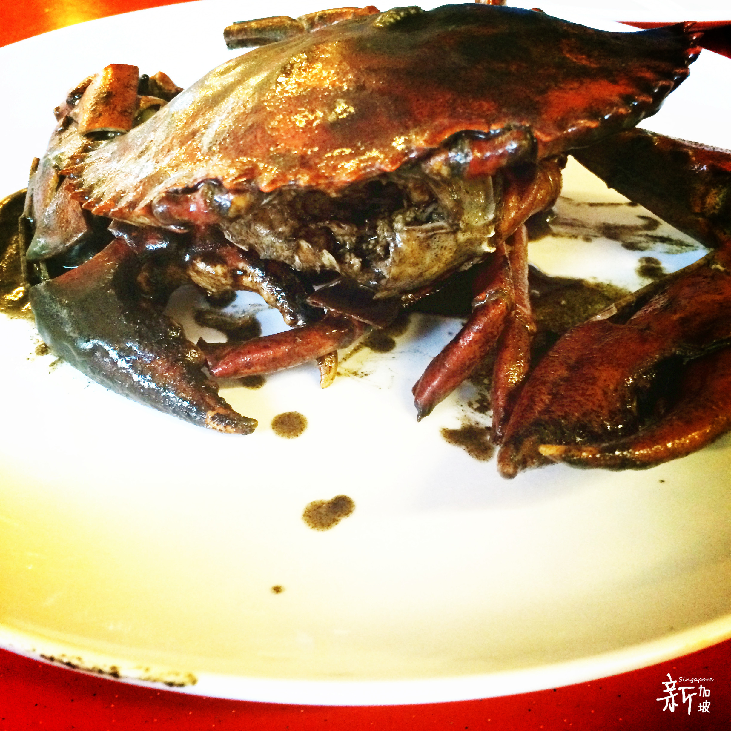 <em>兄妹</em>8天7晚<em>爆走</em>新加坡、吉隆坡 - 新加坡 - 十六