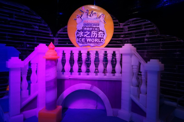 澳门的后圣诞气氛+威尼斯人[冰之历奇]冰雕展