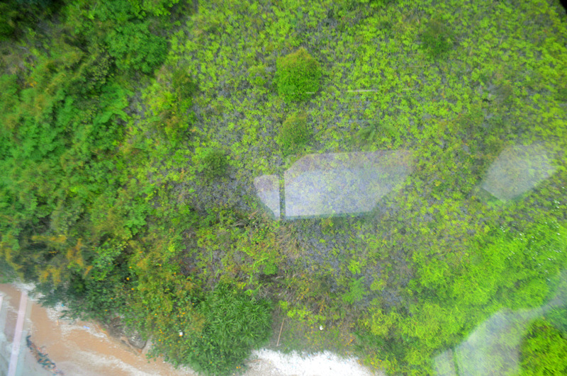 三天两晚游香港,属于小清新的行程~(大屿山+赤